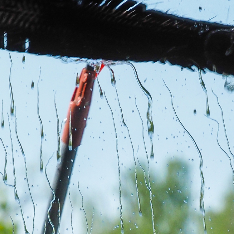 Window Cleaning in Denver, CO