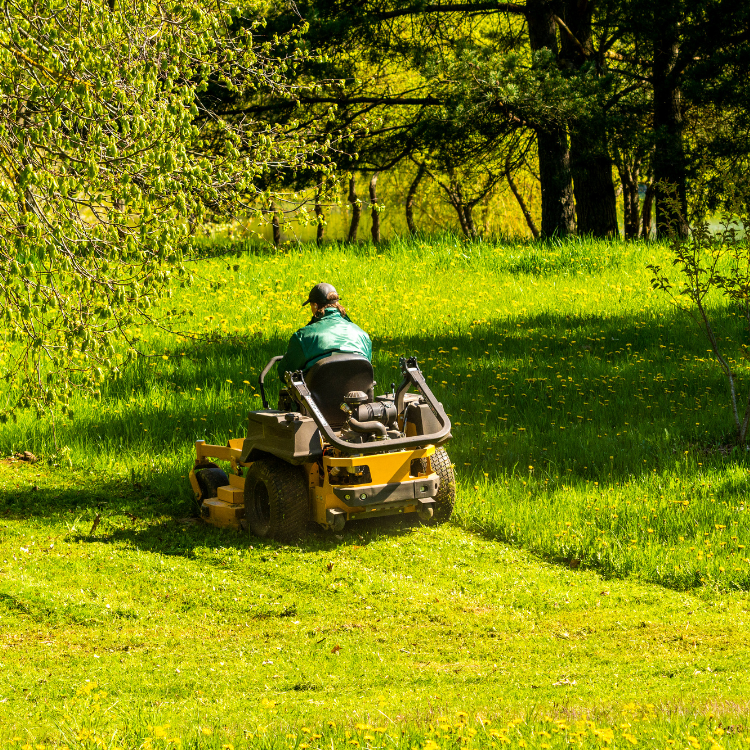 Lawn Mowing in Denver, CO