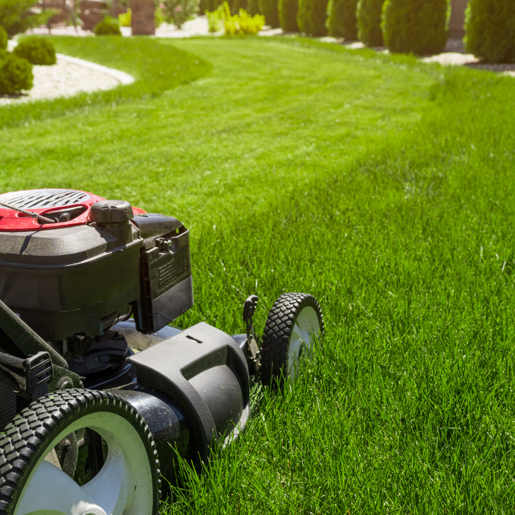 Lawn Mowing in Denver, CO