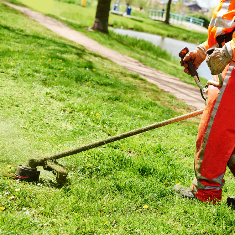 Lawn Mowing in Denver, CO